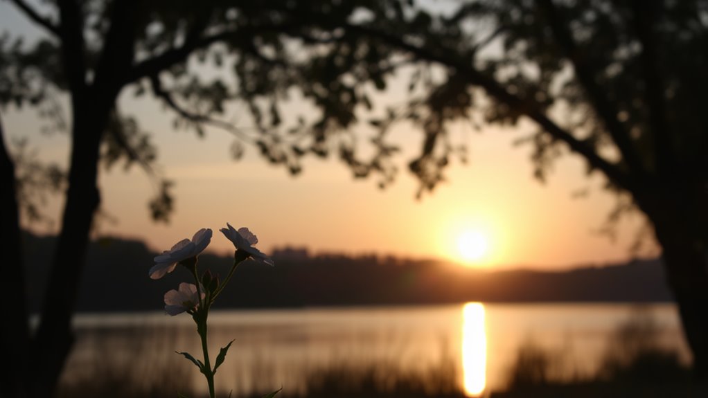 divine compassion for sharing